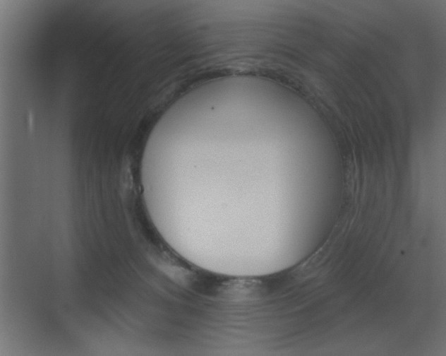 X0000073520128200607310959