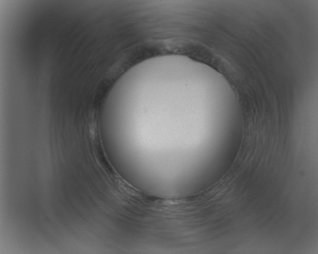 X0000073520129200607310959