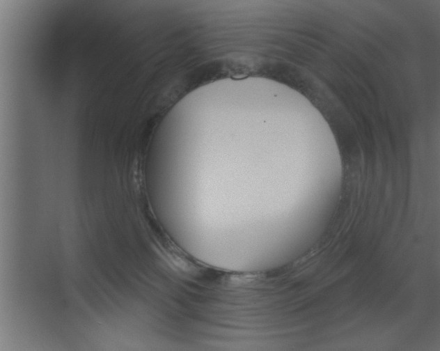 X0000073520134200607310959
