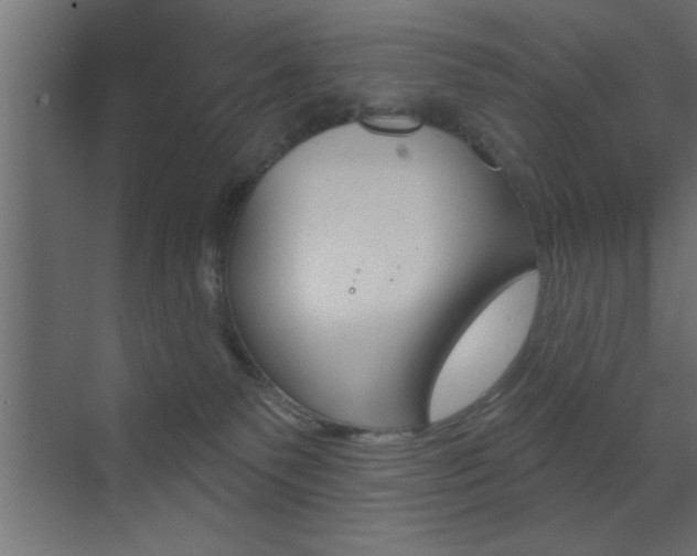 X0000073520135200607310959