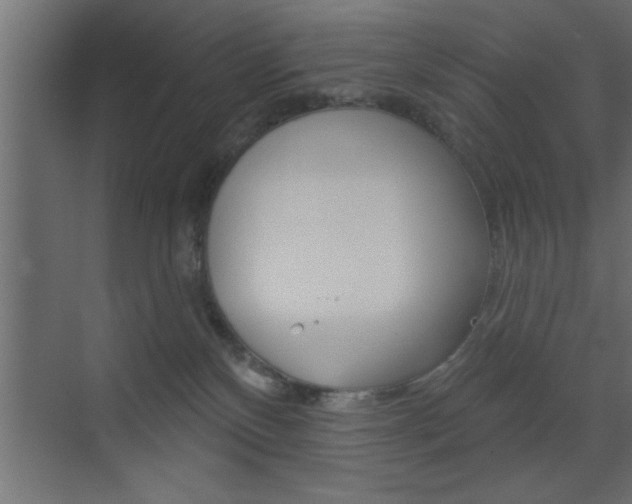 X0000073520136200607310959