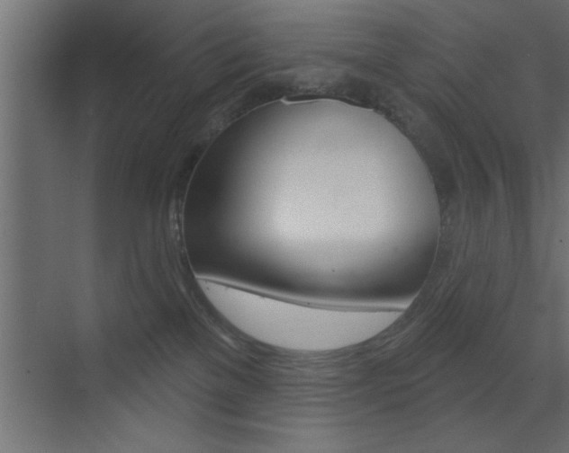 X0000073520137200607310959