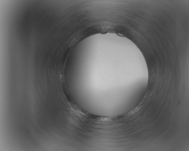 X0000073520140200607310959