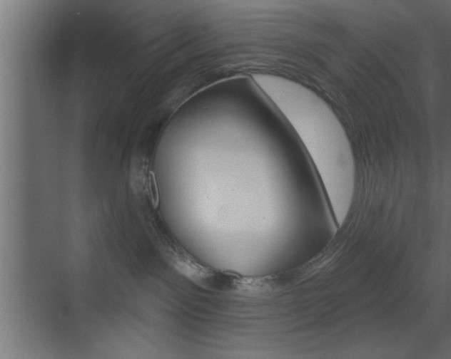 X0000073520141200607310959