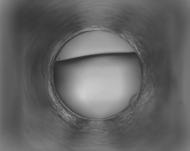X0000073520145200607310958