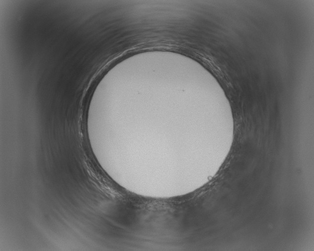 X0000073520146200607310958