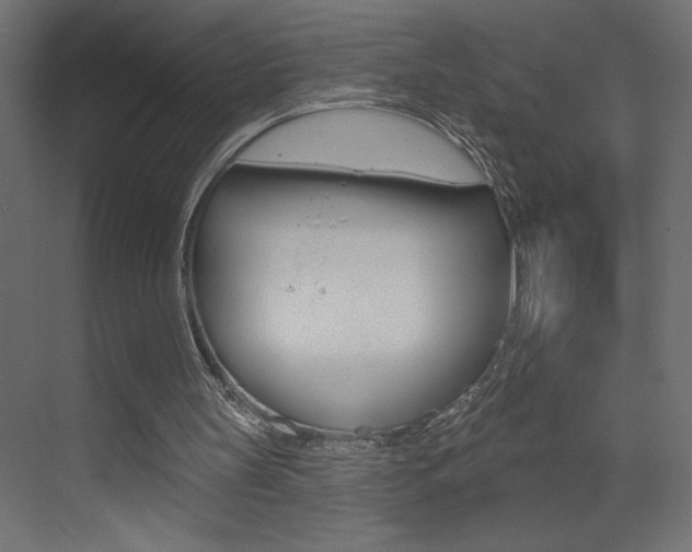 X0000073520147200607310958