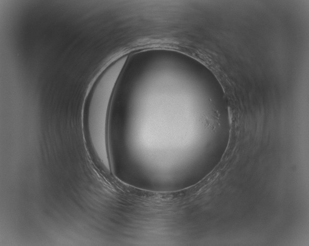X0000073520148200607310958