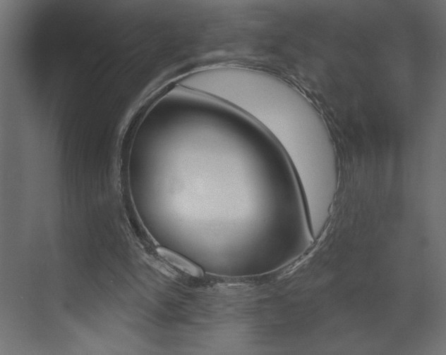 X0000073520150200607310958