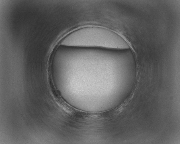 X0000073520151200607310958