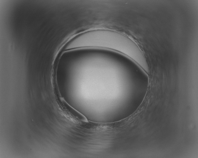 X0000073520152200607310958