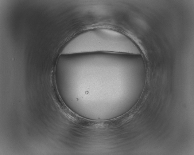 X0000073520153200607310958
