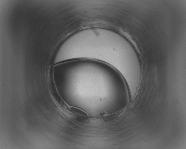 X0000073520154200607310958