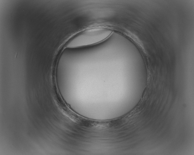X0000073520155200607310958