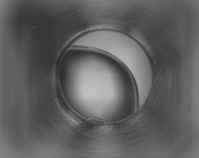 X0000073520156200607310958