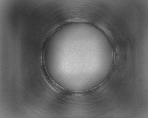 X0000073520157200607310959