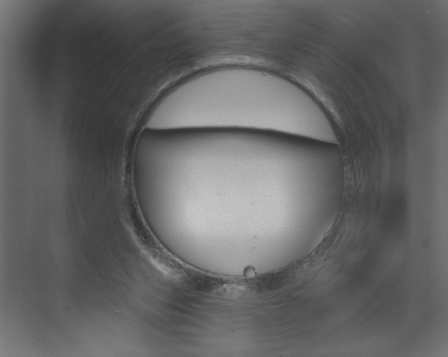 X0000073520159200607310959