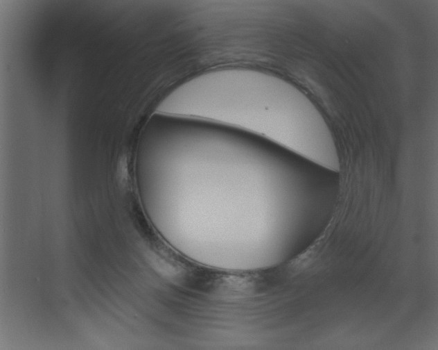 X0000073520166200607310959