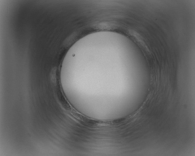 X0000073520167200607310959
