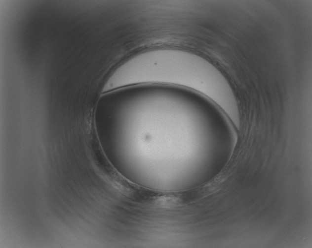 X0000073520168200607310959