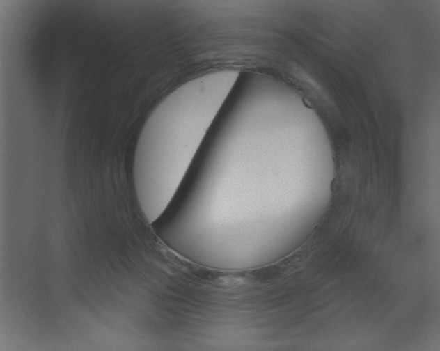 X0000073520169200607310959