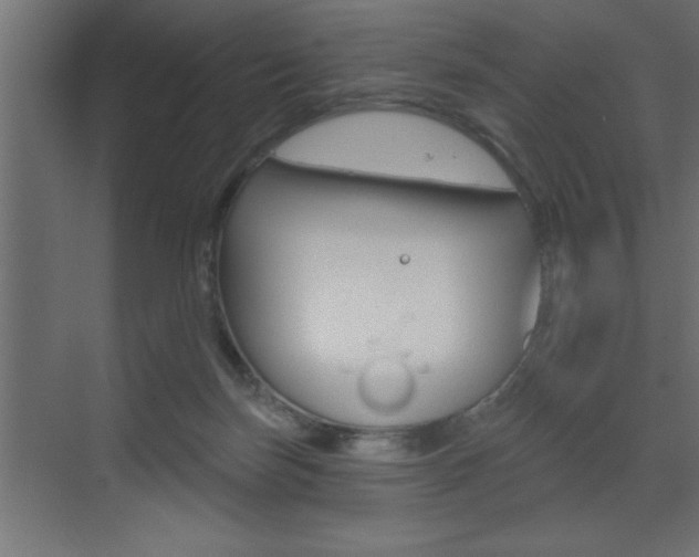 X0000073520171200607310959