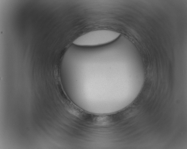 X0000073520173200607310959