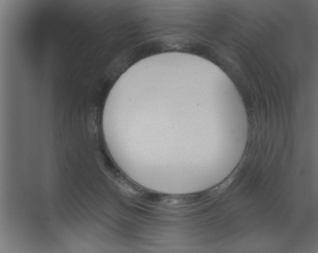 X0000073520174200607310959