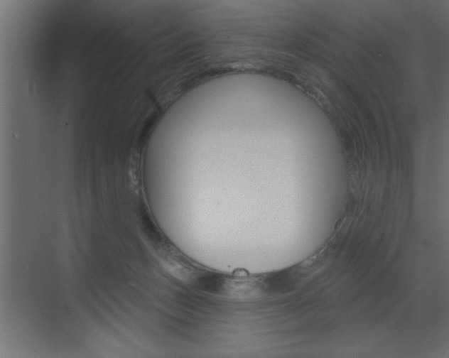 X0000073520175200607310959