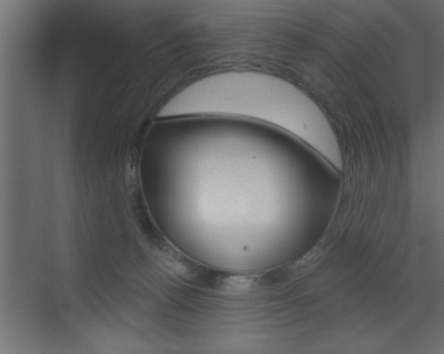 X0000073520176200607310959