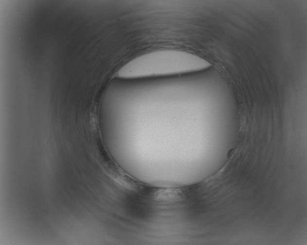 X0000073520179200607310959