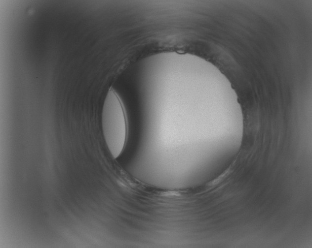 X0000073520183200607310959