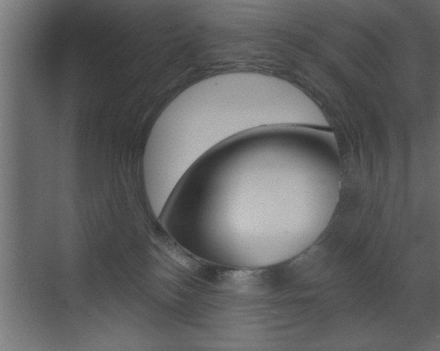 X0000073520184200607310959