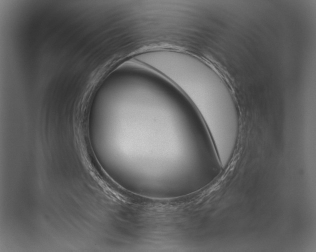 X0000073520193200607310958