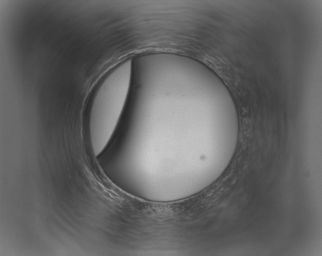 X0000073520194200607310958