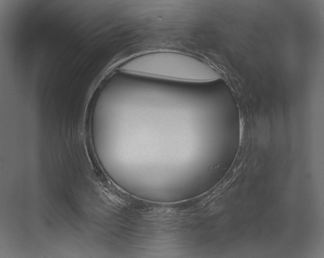 X0000073520195200607310958
