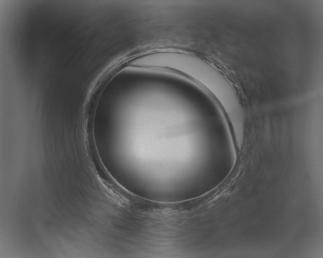 X0000073520197200607310958