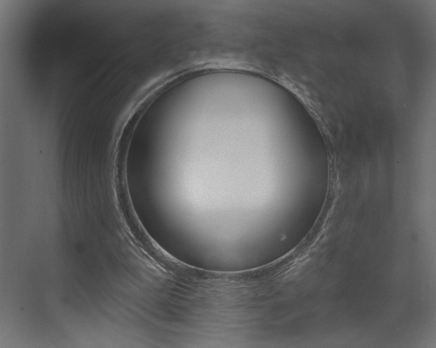 X0000073520199200607310958