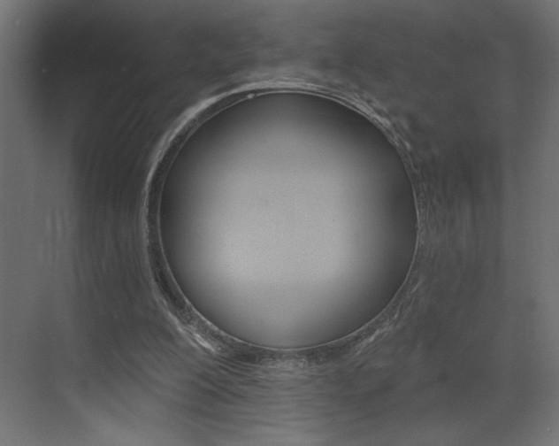 X0000073520200200607310958