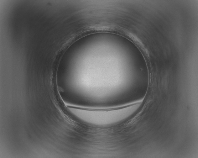 X0000073520201200607310958