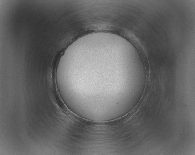 X0000073520202200607310958