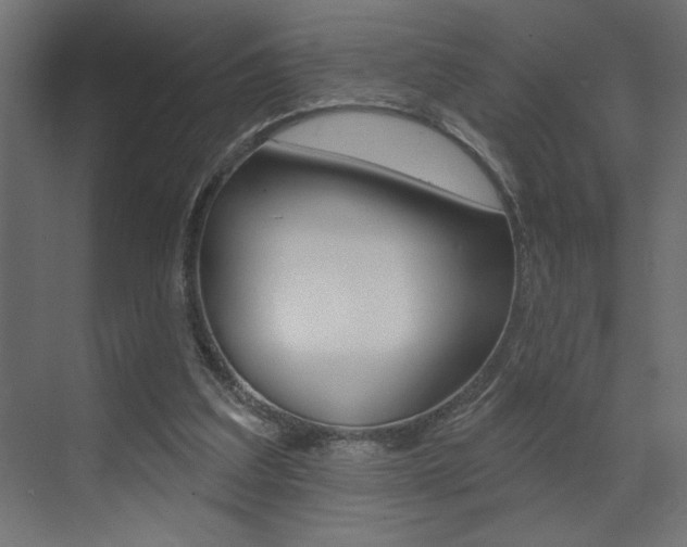 X0000073520203200607310958