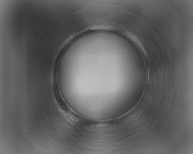 X0000073520204200607310958