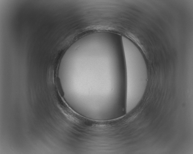 X0000073520205200607310958