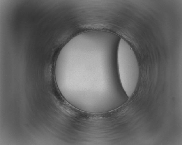 X0000073520206200607310958