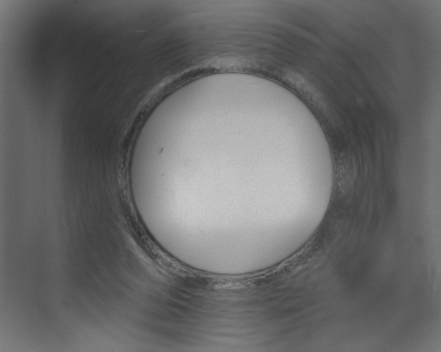 X0000073520208200607310958