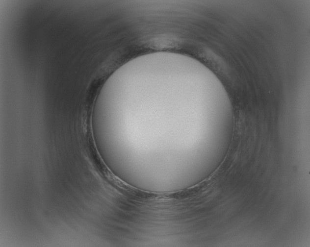 X0000073520210200607310958
