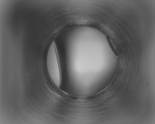 X0000073520211200607310958
