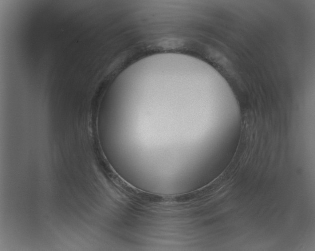 X0000073520212200607310958