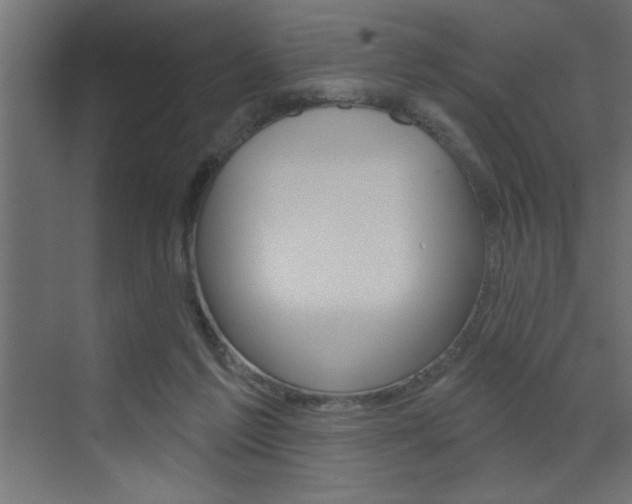 X0000073520213200607310958